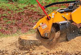 Tree and Shrub Care in Newaygo, MI